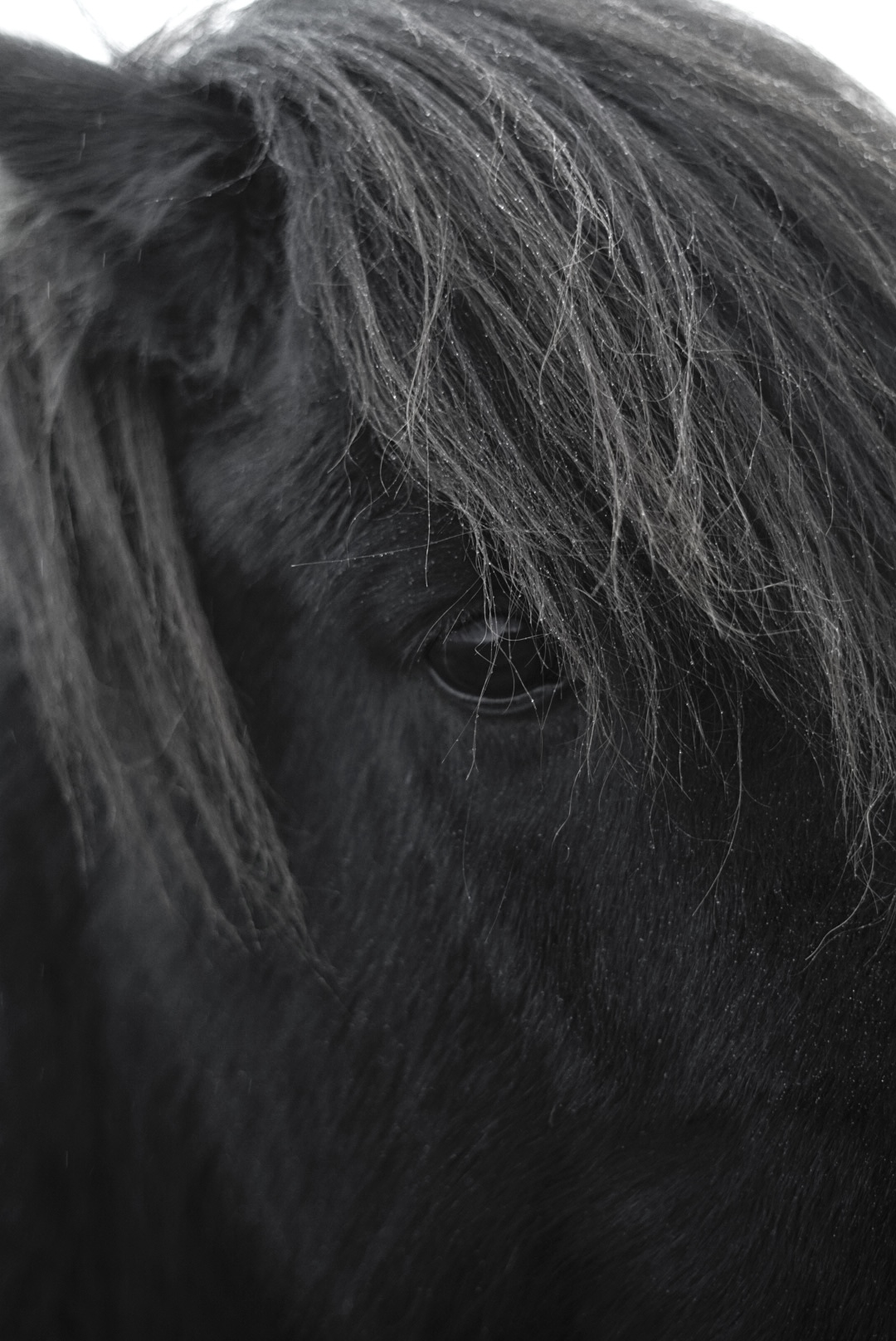 Photograph by Todd Broadrick