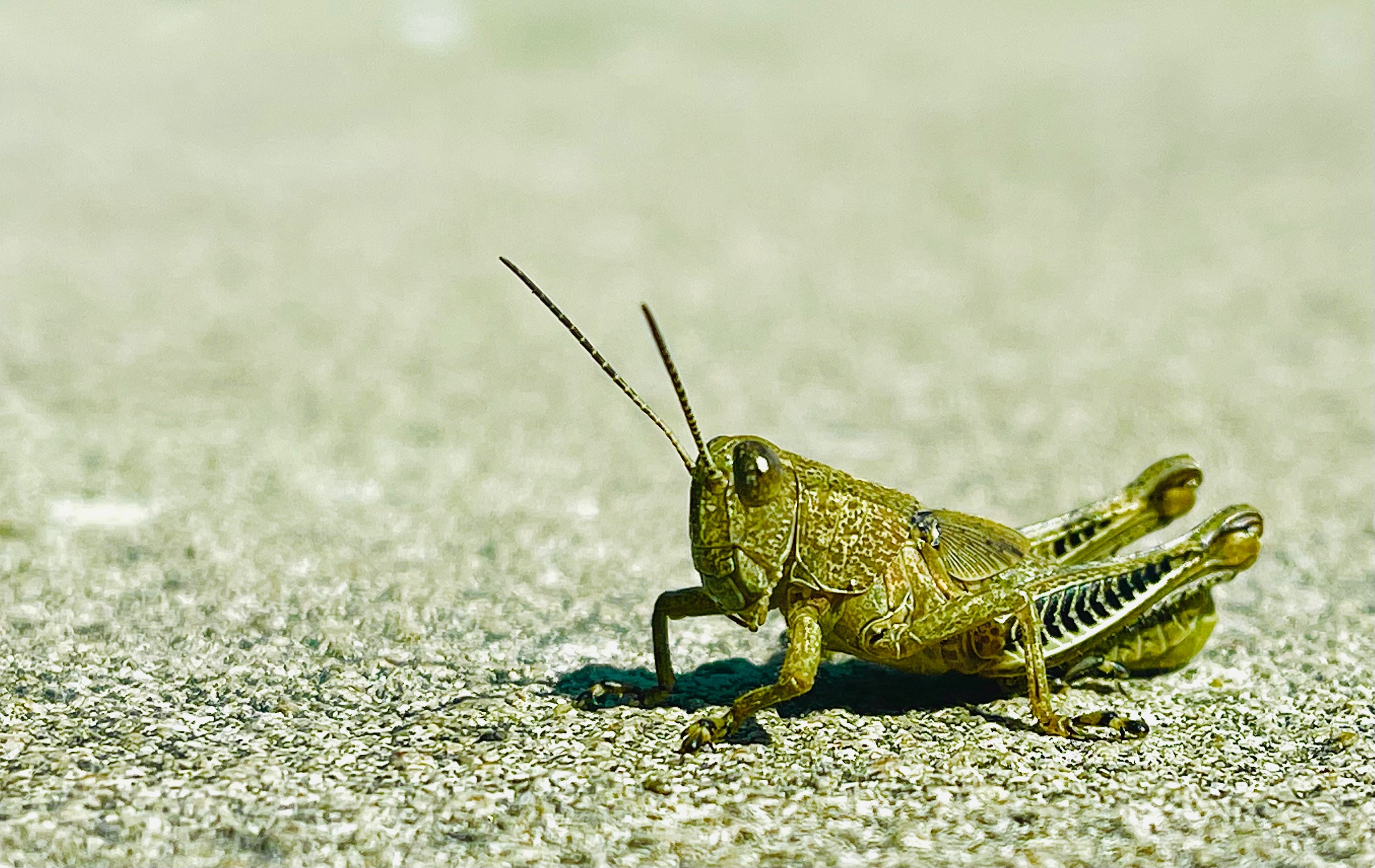 Photograph by Todd Broadrick