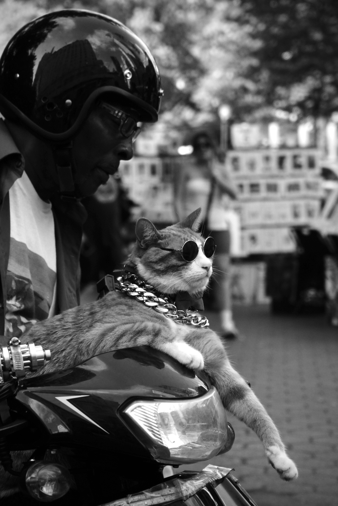 Photograph by Todd Broadrick